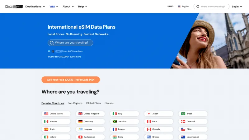 Homepage of GigSky