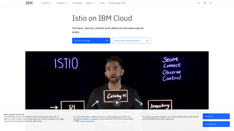 Homepage of IBM Cloud Managed Istio