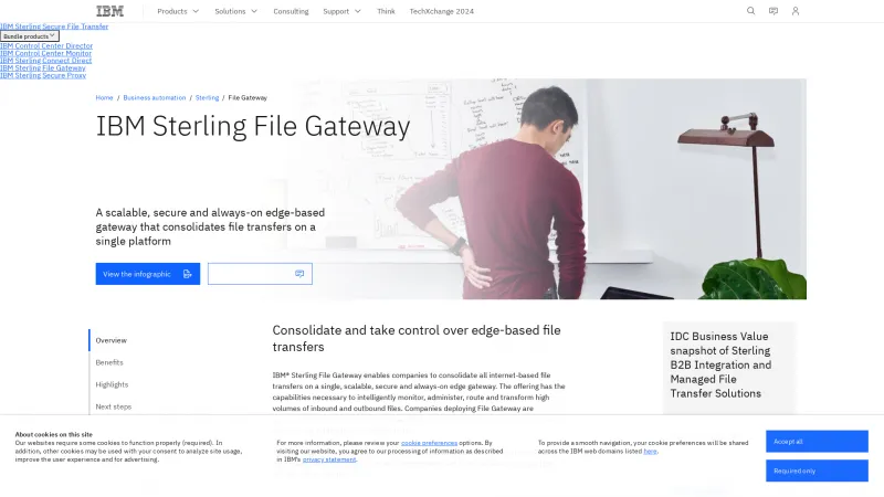 Homepage of IBM Sterling File Gateway