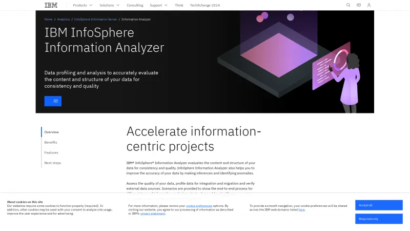 Homepage of IBM InfoSphere Information Analyzer