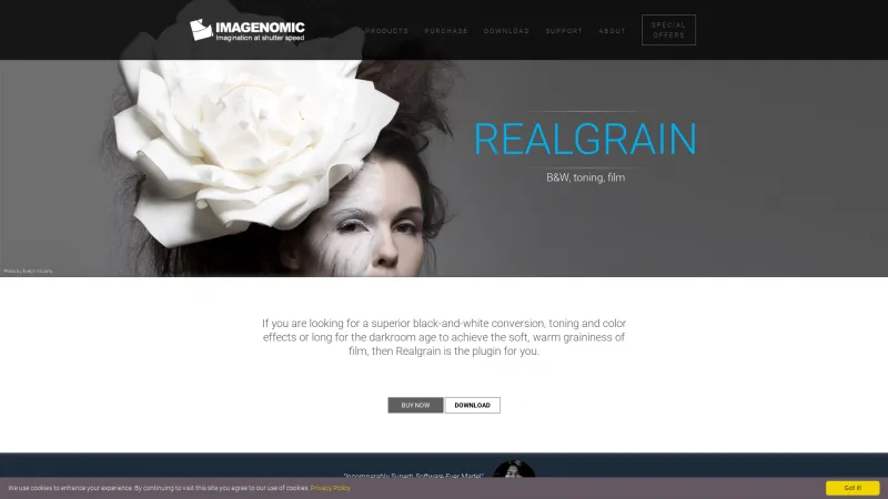 Homepage of Realgrain