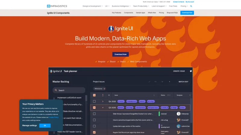 Homepage of Ignite UI