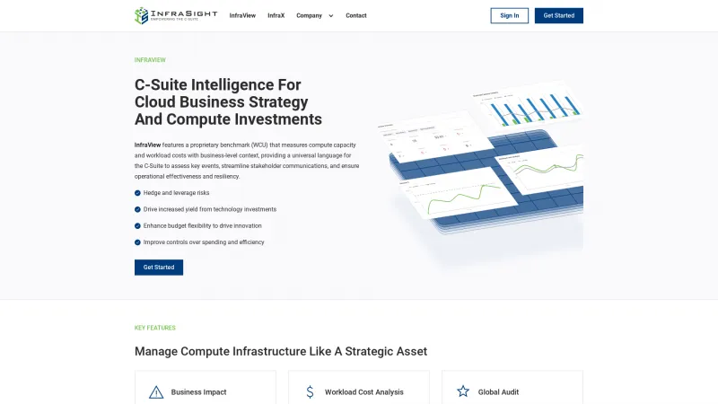 Homepage of InfraView