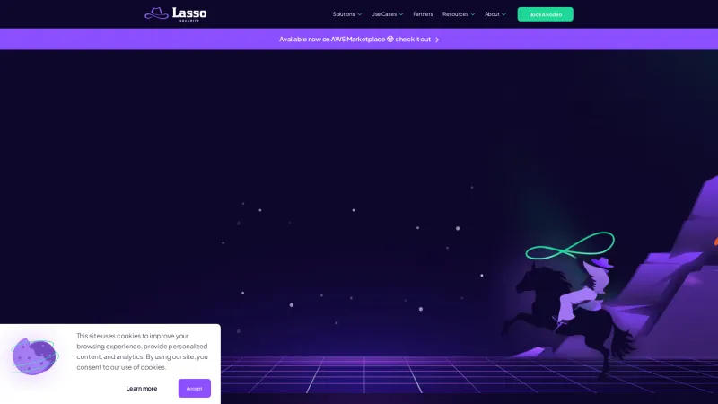 Homepage of Lasso Security