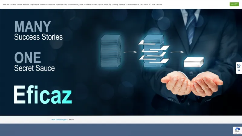 Homepage of Eficaz