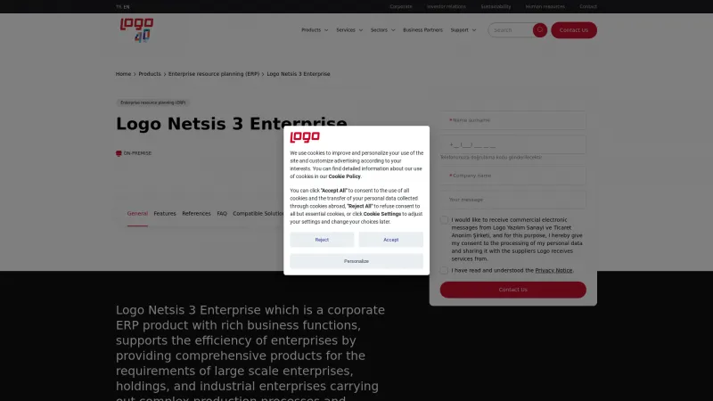 Homepage of Logo Netsis 3 Enterprise