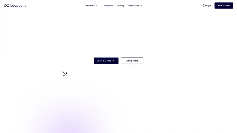 Homepage of Looppanel