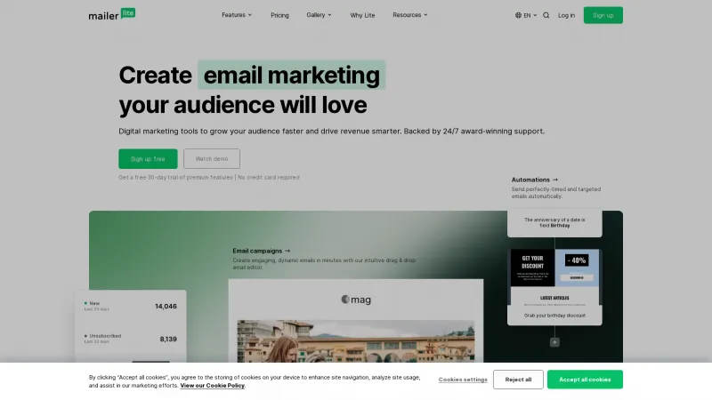 Homepage of MailerLite