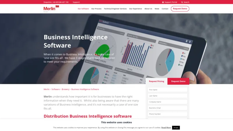 Homepage of Merlin Business Intelligence