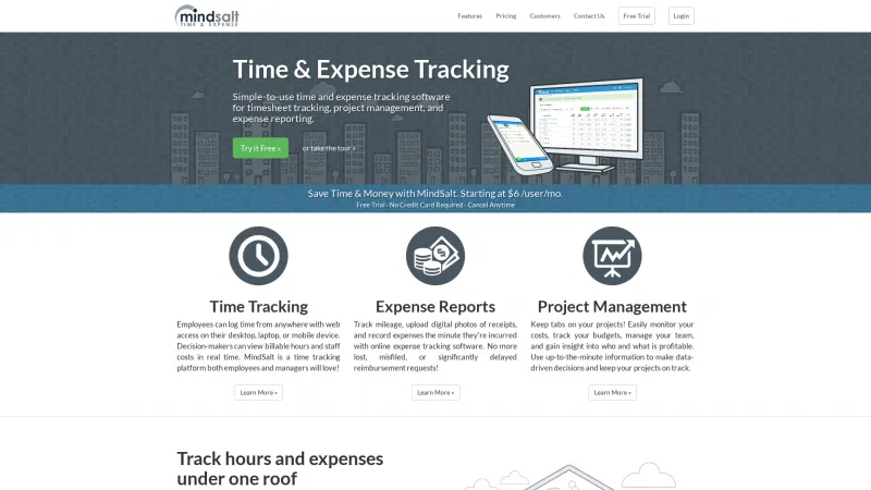 Homepage of MindSalt Time & Expense