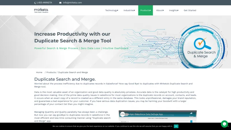 Homepage of Duplicate Search and Merge