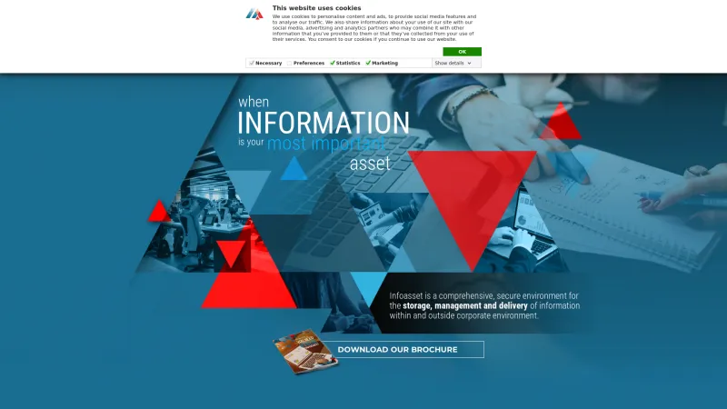 Homepage of Infoasset