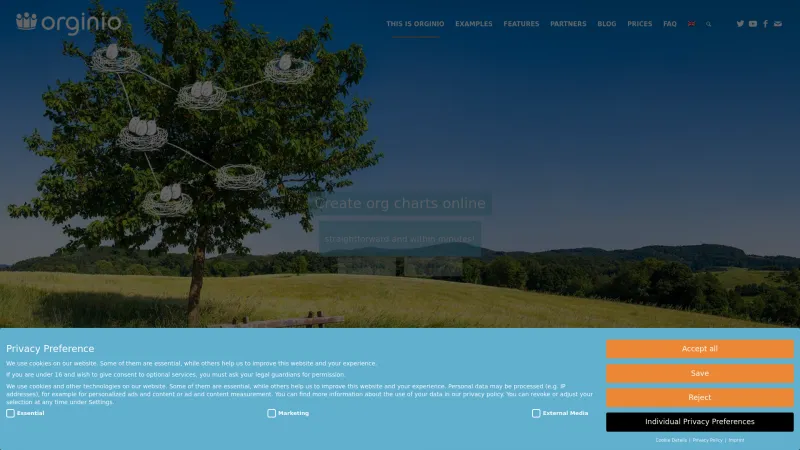 Homepage of orginio