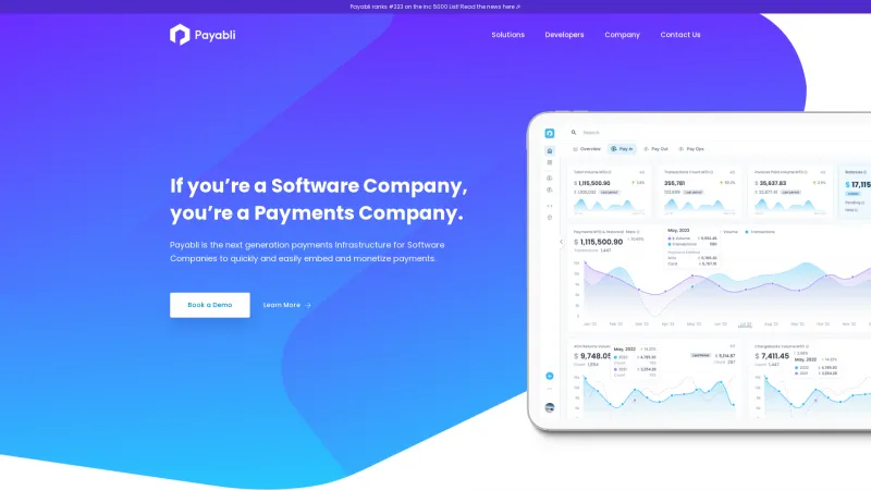 Homepage of Payabli