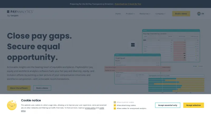 Homepage of PayAnalytics