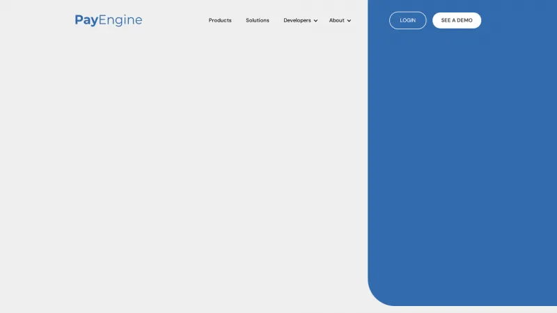 Homepage of PayEngine