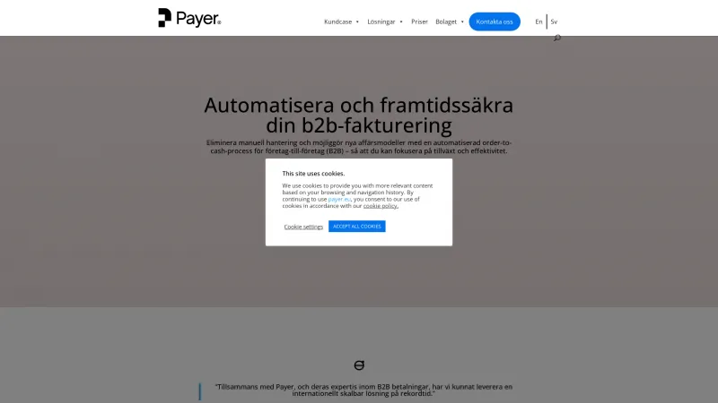 Homepage of Payer