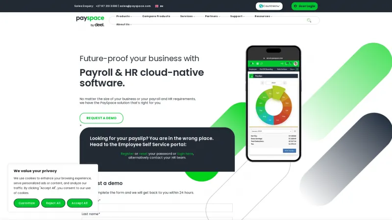 Homepage of PaySpace