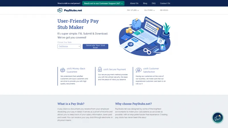 Homepage of PayStubs.net