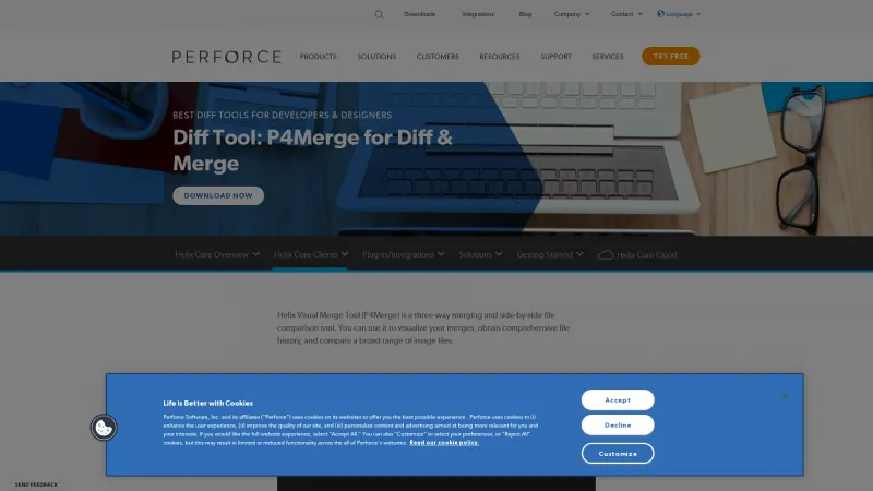 Homepage of P4Merge