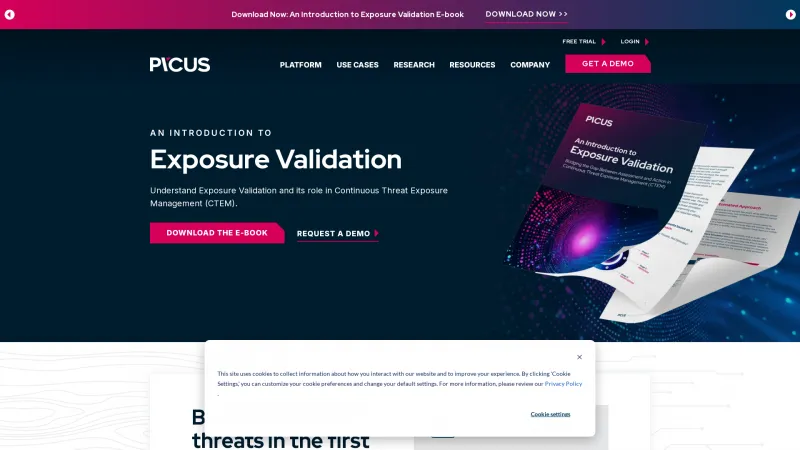 Homepage of Picus