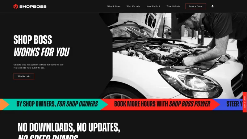 Homepage of ProfitBoost