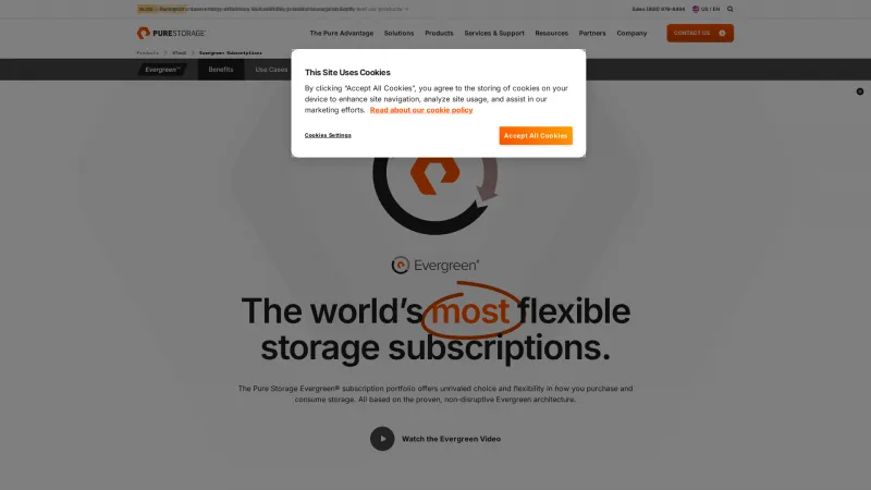 Homepage of Evergreen Storage