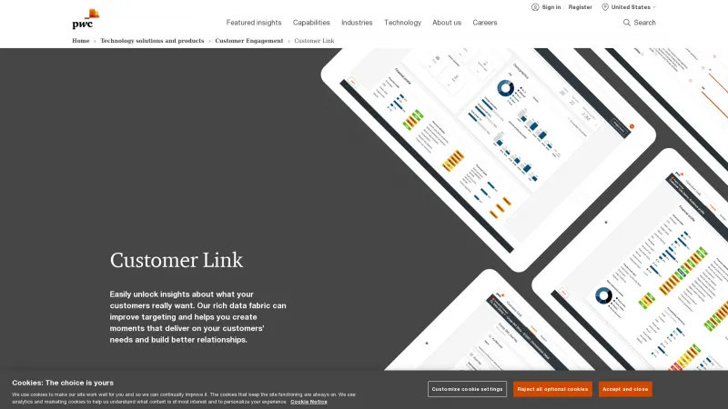 Homepage of PwC Customer Link