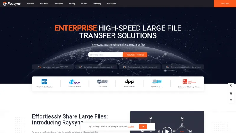 Homepage of Raysync