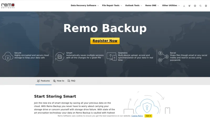 Homepage of Remo Backup