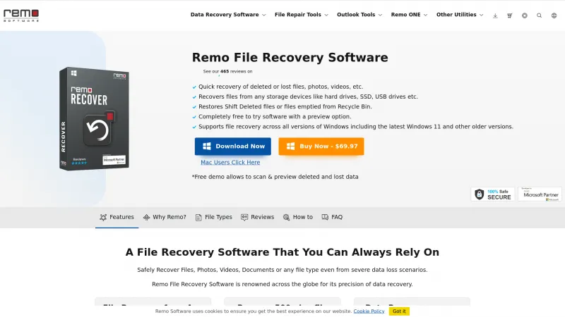 Homepage of Remo File Recovery