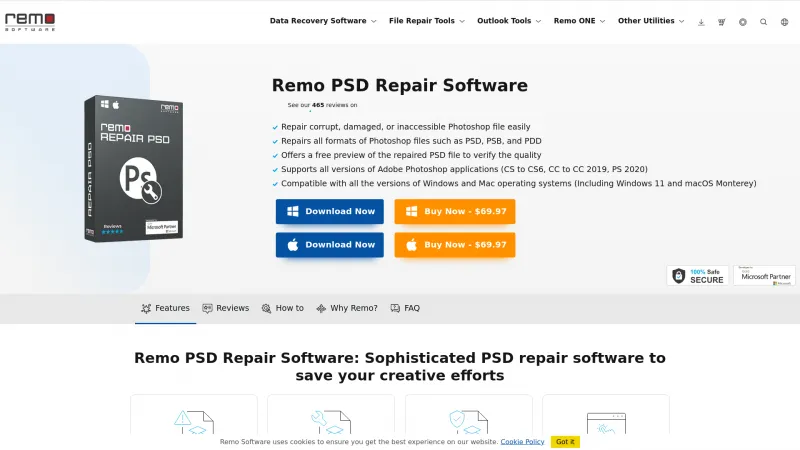 Homepage of Remo Repair PSD