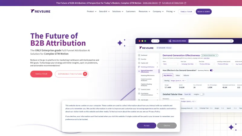 Homepage of RevSure