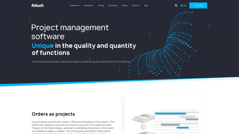 Homepage of Rillsoft Project