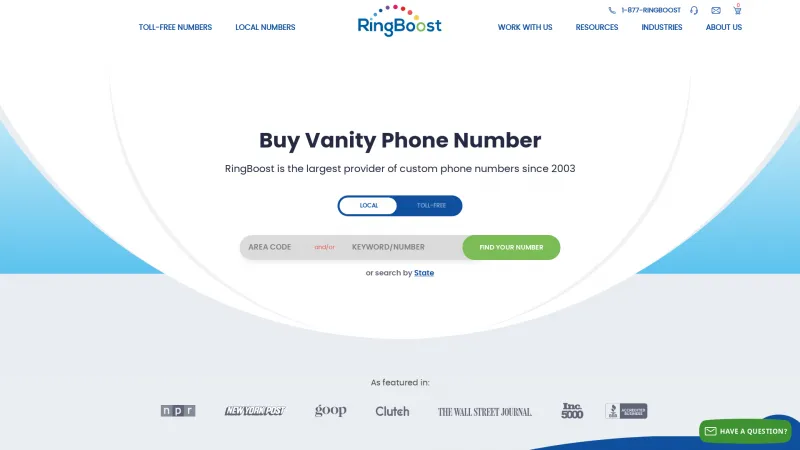 Homepage of RingBoost