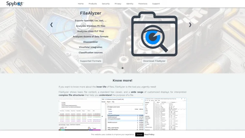 Homepage of FileAlyzer