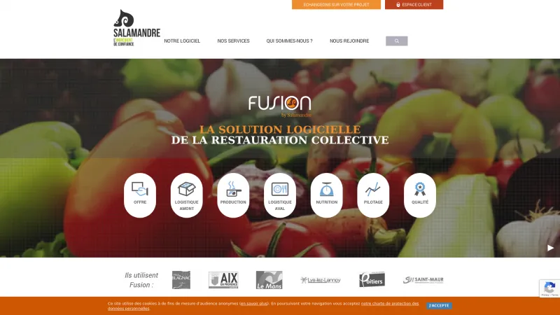 Homepage of Fusion by Salamandre