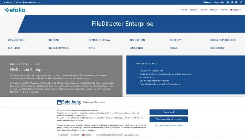 Homepage of FileDirector