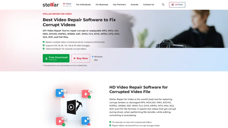 Homepage of Stellar Repair for Video