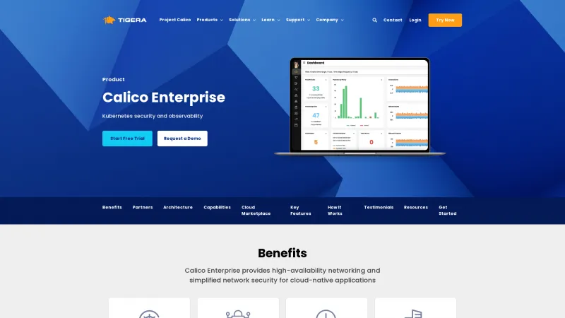 Homepage of Calico Enterprise